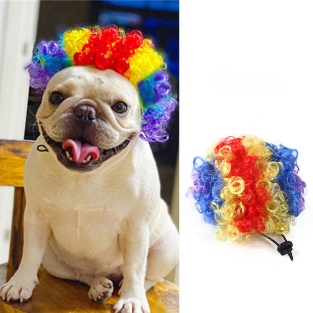 Accessoires pour cheveux d'animaux de compagnie pour perruques d'Halloween et de Noël