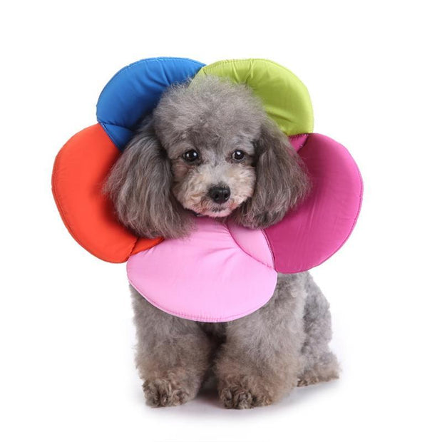 Schutzhalsband für Haustiere, Halsband, Blumenschutzhalsband, Fellpflege-Sets für Haustiere, Hundebeißring, Geburtenkontrolle