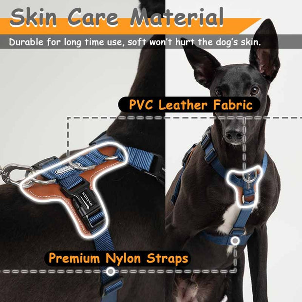 Sangle de poitrine pour animaux de compagnie pour entraînement industriel