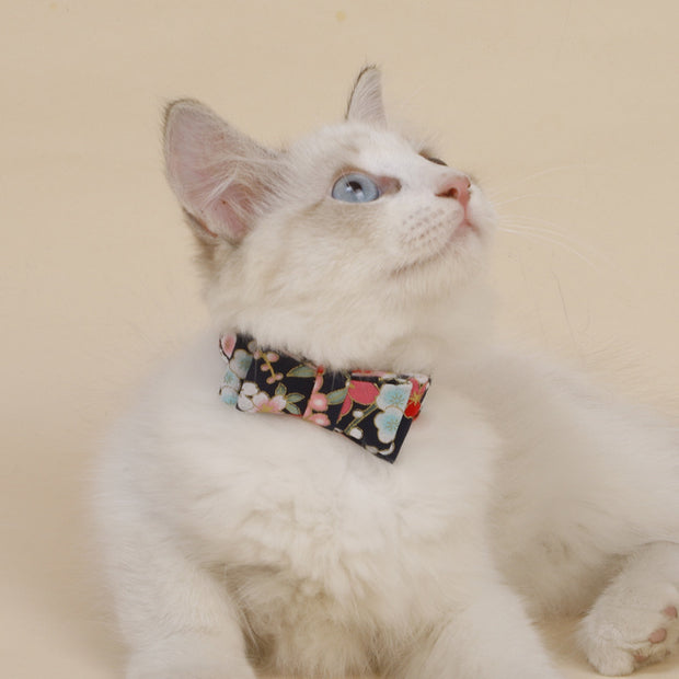 Accessoires pour chat en forme d'arc tridimensionnel