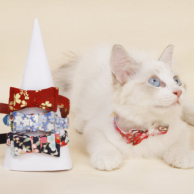 Accessoires pour chat en forme d'arc tridimensionnel