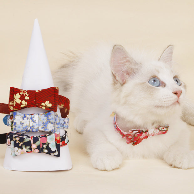 Accessoires pour chat en forme d'arc tridimensionnel