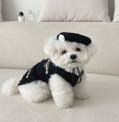 Accessoires pour chien et chat - Bonnet tricoté
