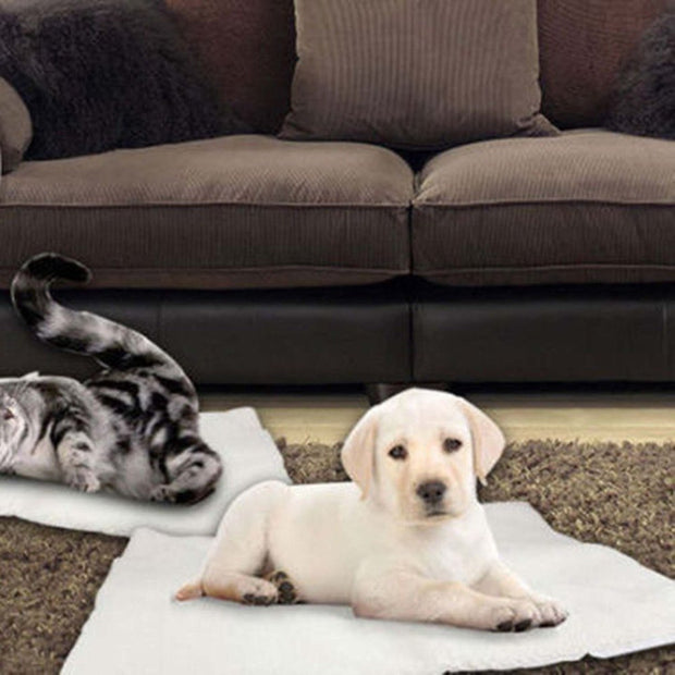 Selbsterwärmende Hunde- und Katzendecke, Haustierbett, thermisch waschbar, keine Heizdecke, superweiche Welpen-/Kätzchendecke, Bettmatte 