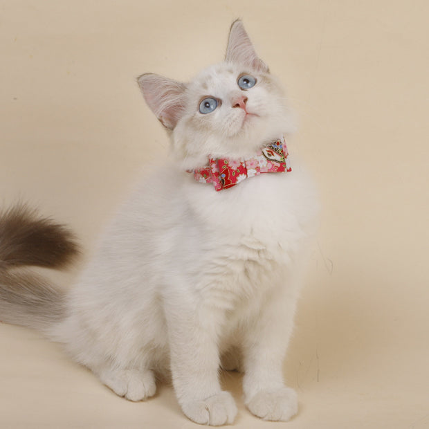 Accessoires pour chat en forme d'arc tridimensionnel