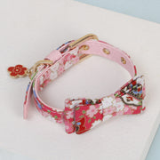 Accessoires pour chat en forme d'arc tridimensionnel