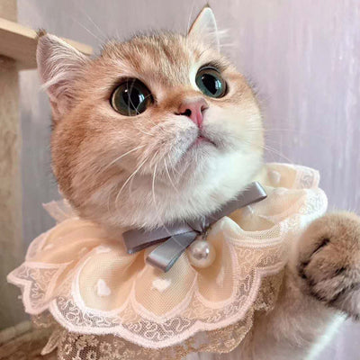 Accessoires pour animaux de compagnie Serviette à salive Bavoir pour chat