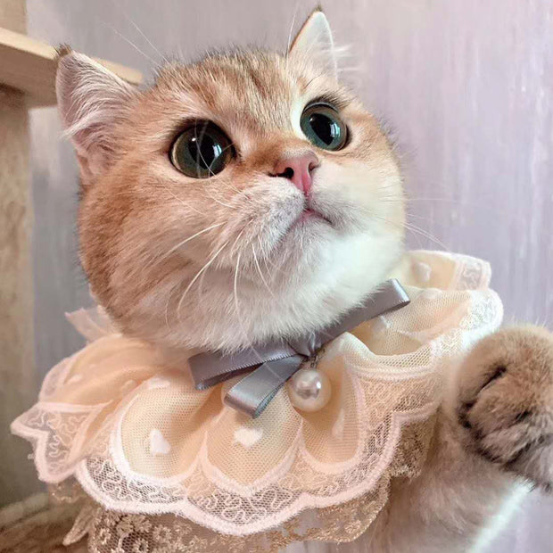Accessoires pour animaux de compagnie Serviette à salive Bavoir pour chat
