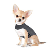 Vêtements pour animaux de compagnie Veste anti-anxiété pour chien Gilet chaud