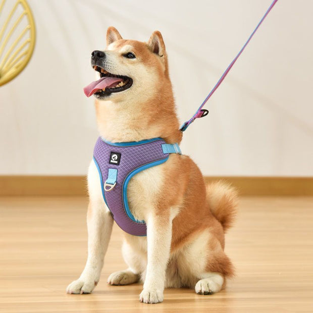 Harnais pour chien de compagnie chiot réglable en maille respirante selle réfléchissante pour petits chiens moyens chats fournitures pour animaux de compagnie