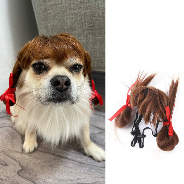 Accessoires pour cheveux d'animaux de compagnie pour perruques d'Halloween et de Noël