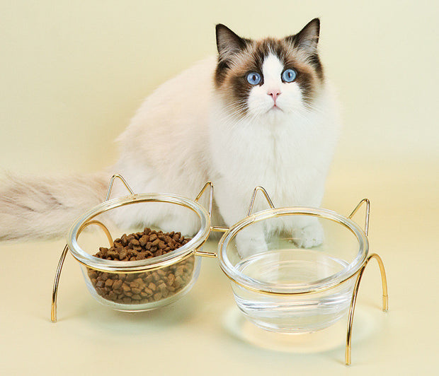Gamelle en verre pour chat, mangeoire pour aliments et eau pour animaux de compagnie, mangeoire avec support en métal pour bols d'alimentation, accessoires d'alimentation pour chats et chiots