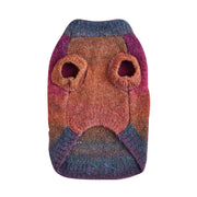 Pull doux et gluant pour animaux de compagnie avec motif arc-en-ciel et dopamine