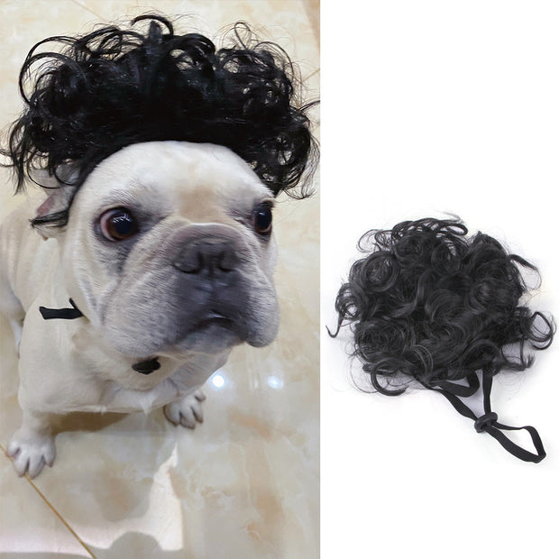 Accessoires pour cheveux d'animaux de compagnie pour perruques d'Halloween et de Noël